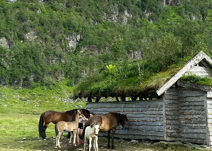 Mountain With Glacier Views *